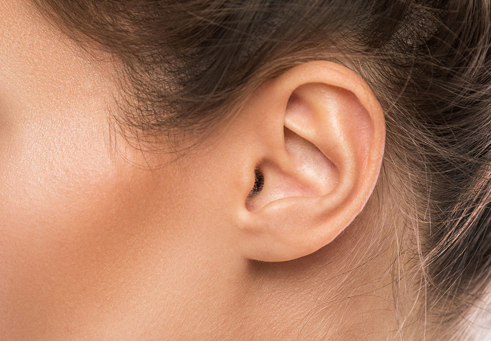 Chirurgia orecchie